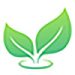 drawing of 2 green leaves