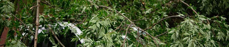 Storm Damage